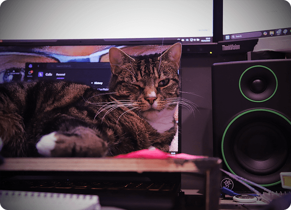 Tina ems events employee